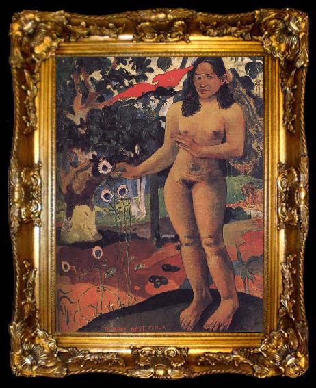 framed  Paul Gauguin Tahiti Nude, ta009-2